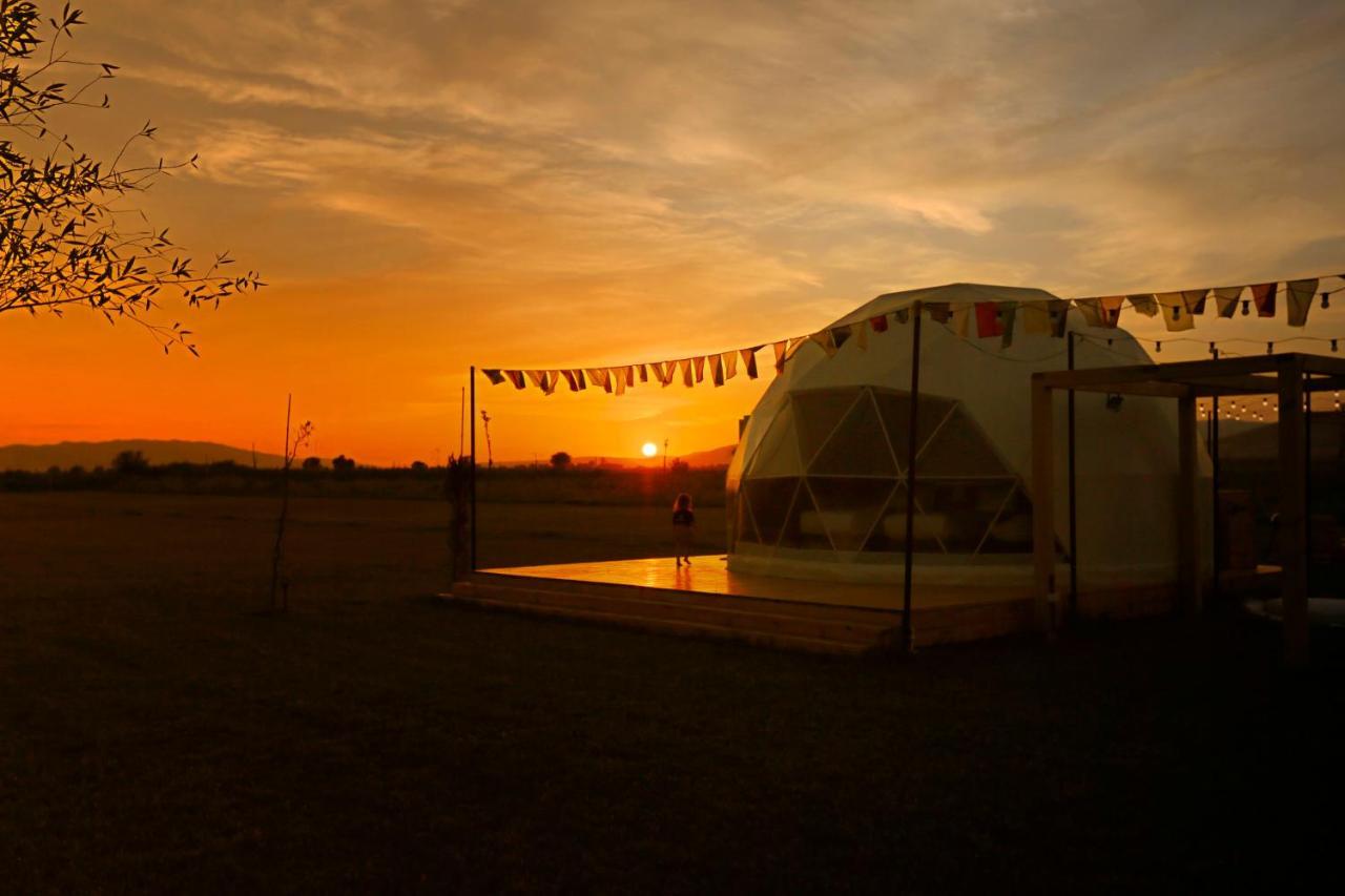 Jewelberry Glamping Hotel Tbilisi Mtsʼkhetʼa Dış mekan fotoğraf