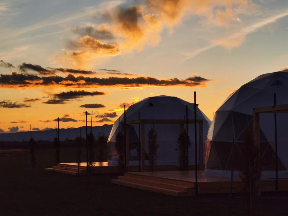 Jewelberry Glamping Hotel Tbilisi Mtsʼkhetʼa Dış mekan fotoğraf