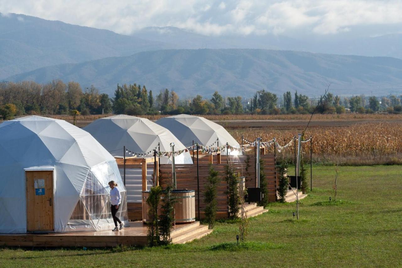 Jewelberry Glamping Hotel Tbilisi Mtsʼkhetʼa Dış mekan fotoğraf