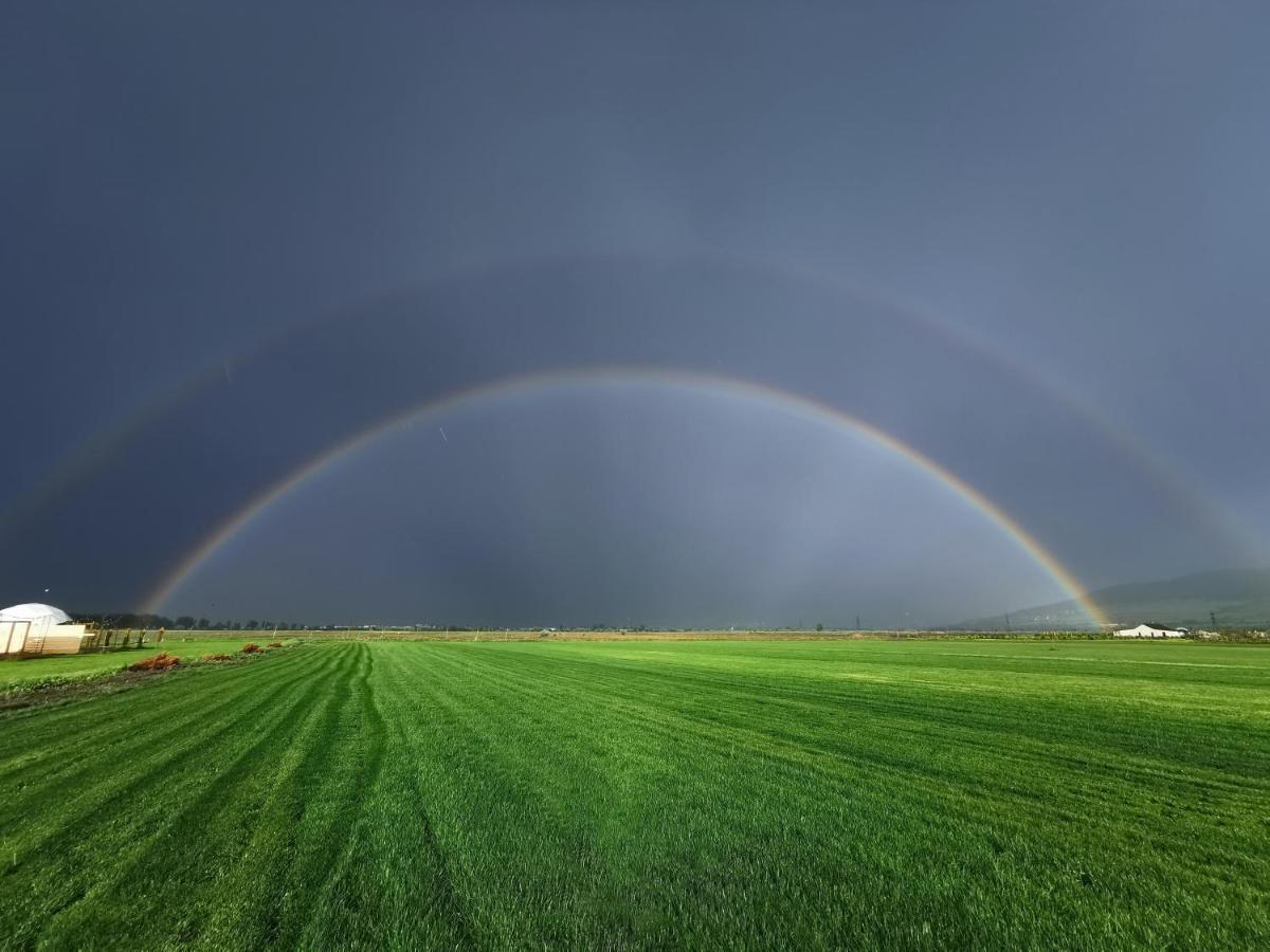 Jewelberry Glamping Hotel Tbilisi Mtsʼkhetʼa Dış mekan fotoğraf